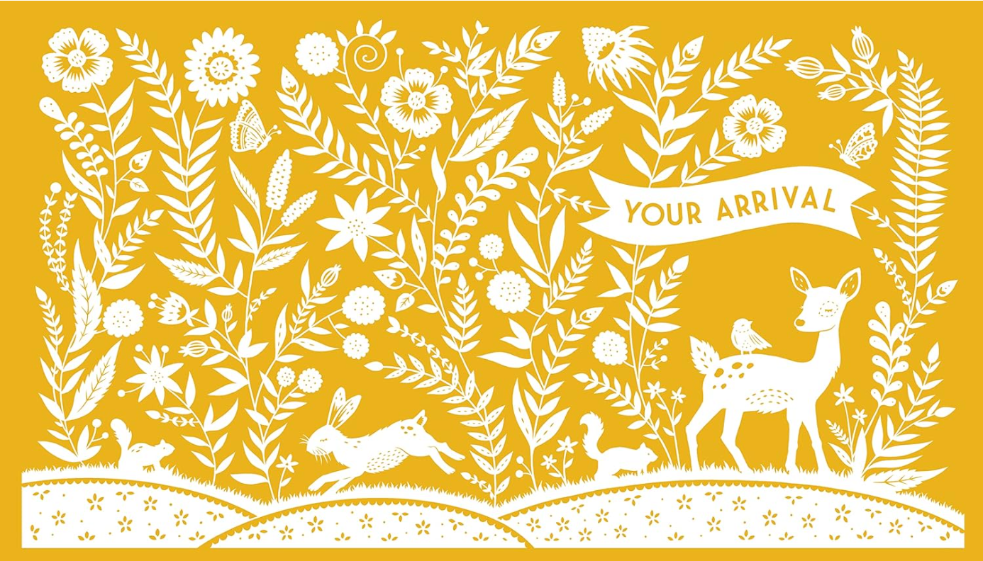 My Baby's Book: A premium keepsake baby book